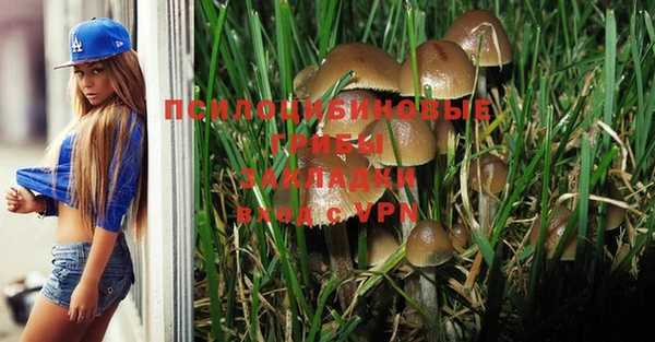 хмурый Няндома