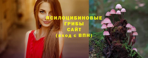 бошки Алексин