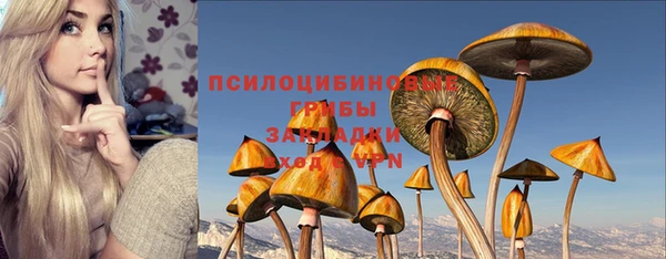 соль курить ск Алзамай