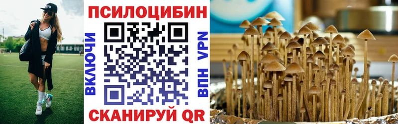 Галлюциногенные грибы Magic Shrooms  как найти   Южноуральск 